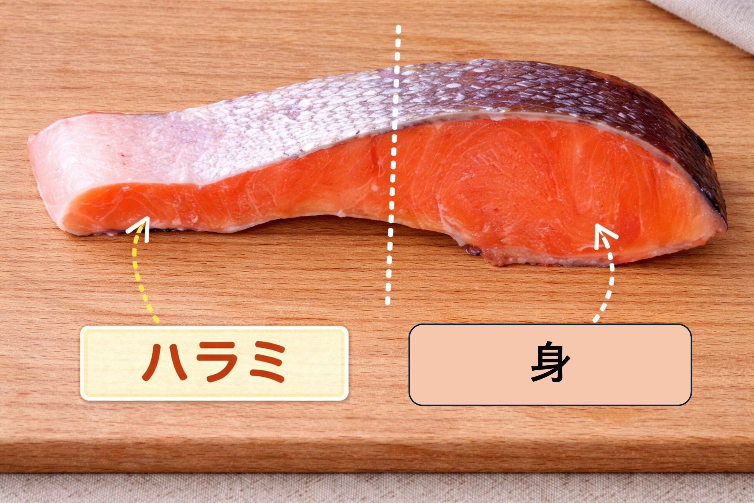弓形の鮭の切り身で細い部分をハラミ、太い部分を身として示した部位の違いが分かる画像